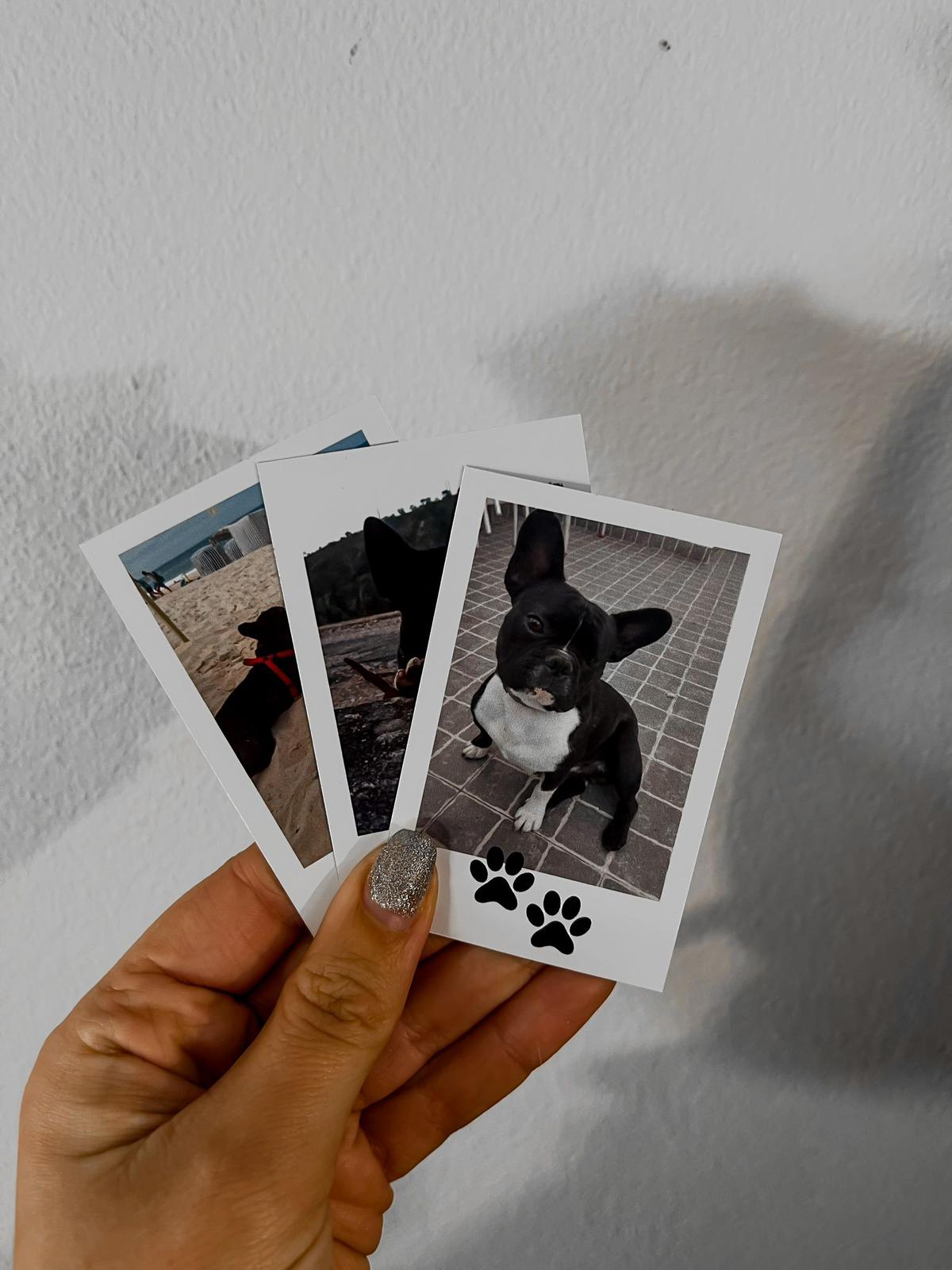 Polaroids Magnéticas