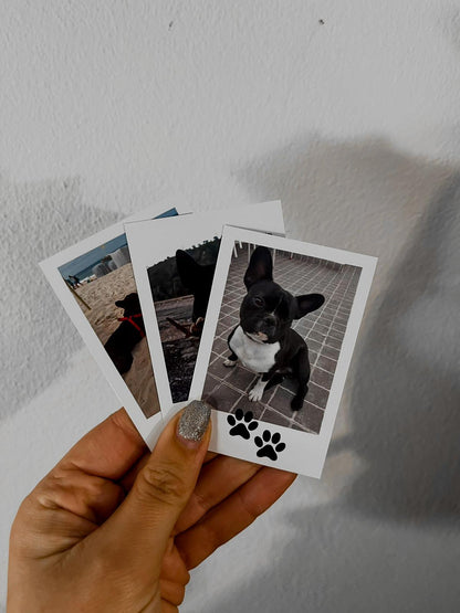 Polaroids Magnéticas